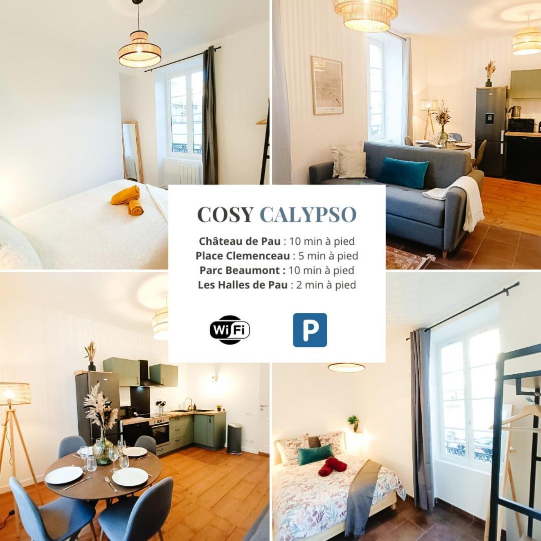 Cosy Calypso 2Ch - Quartier Des Halles & Parking Pau Bagian luar foto